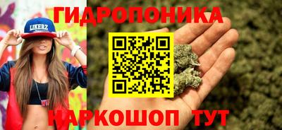 a pvp Усть-Илимск